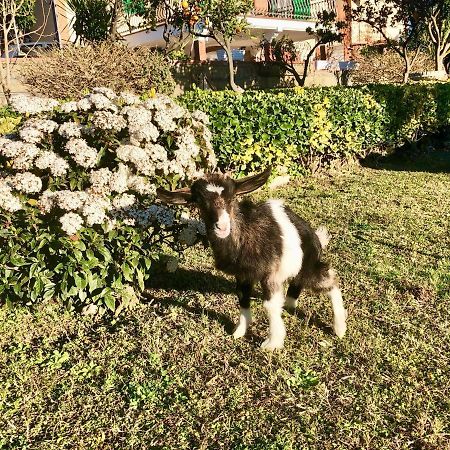 B&B Annetta Ercolano Ngoại thất bức ảnh
